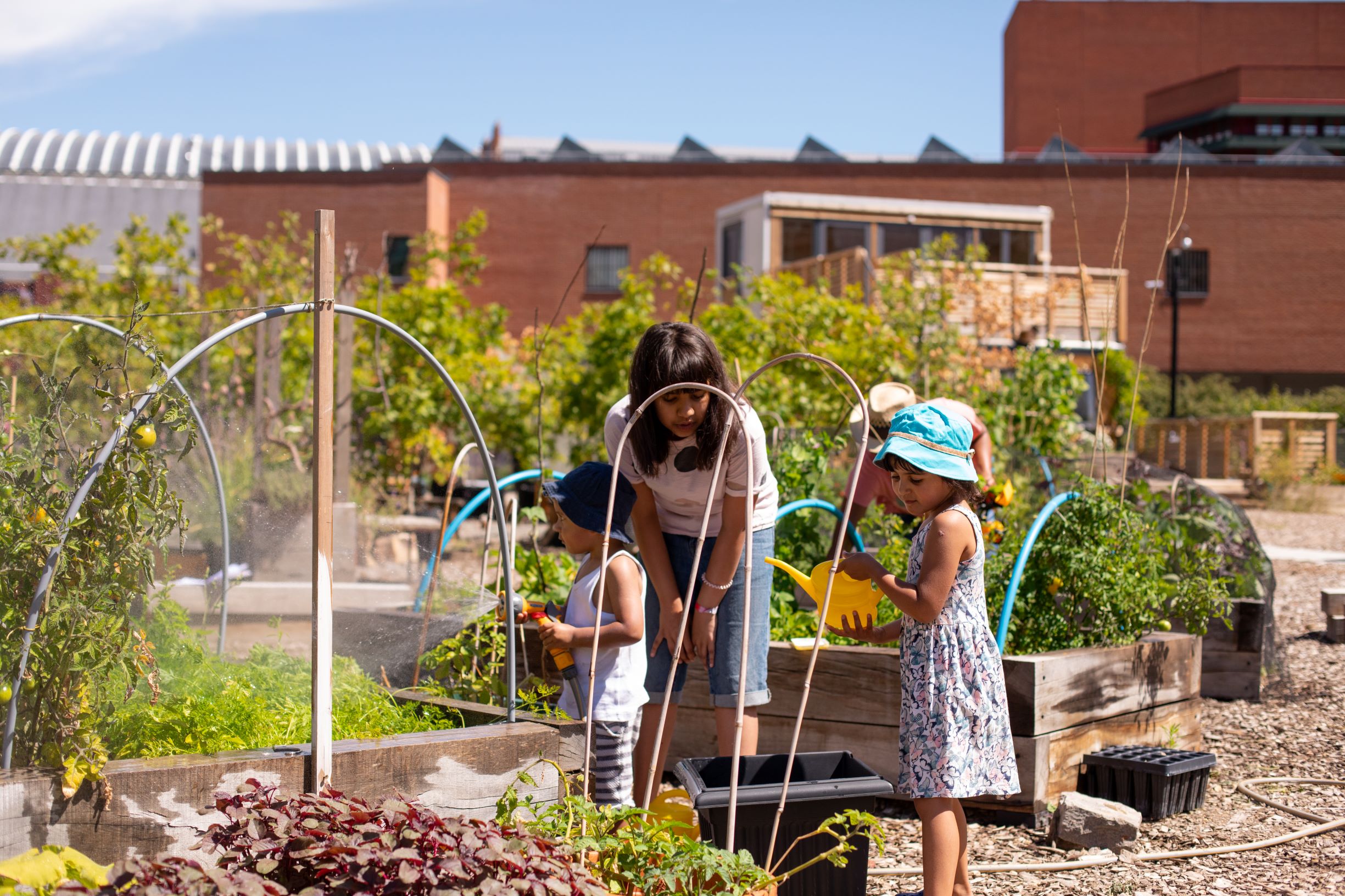 Story Garden August 2020